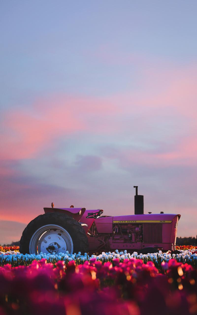 800x1280 John Deere Tractor In Flower Farm 4k Nexus Samsung Galaxy Tab Note Android Tablets HD 4k Wallpaper, Image, Background, Photo and Picture