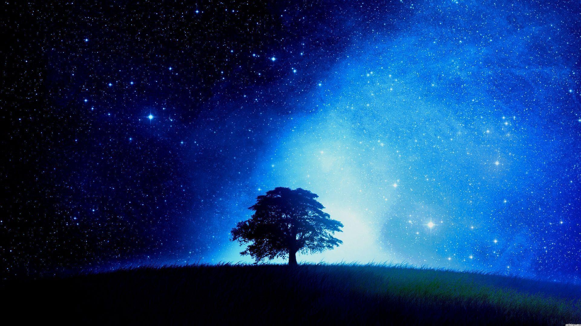 1920x1080 Anime Starry Night Sky Wallpaper For Free Wallpaper.  Hình nền bầu trời đêm, Hình nền đêm đầy sao, Bầu trời đêm đầy sao