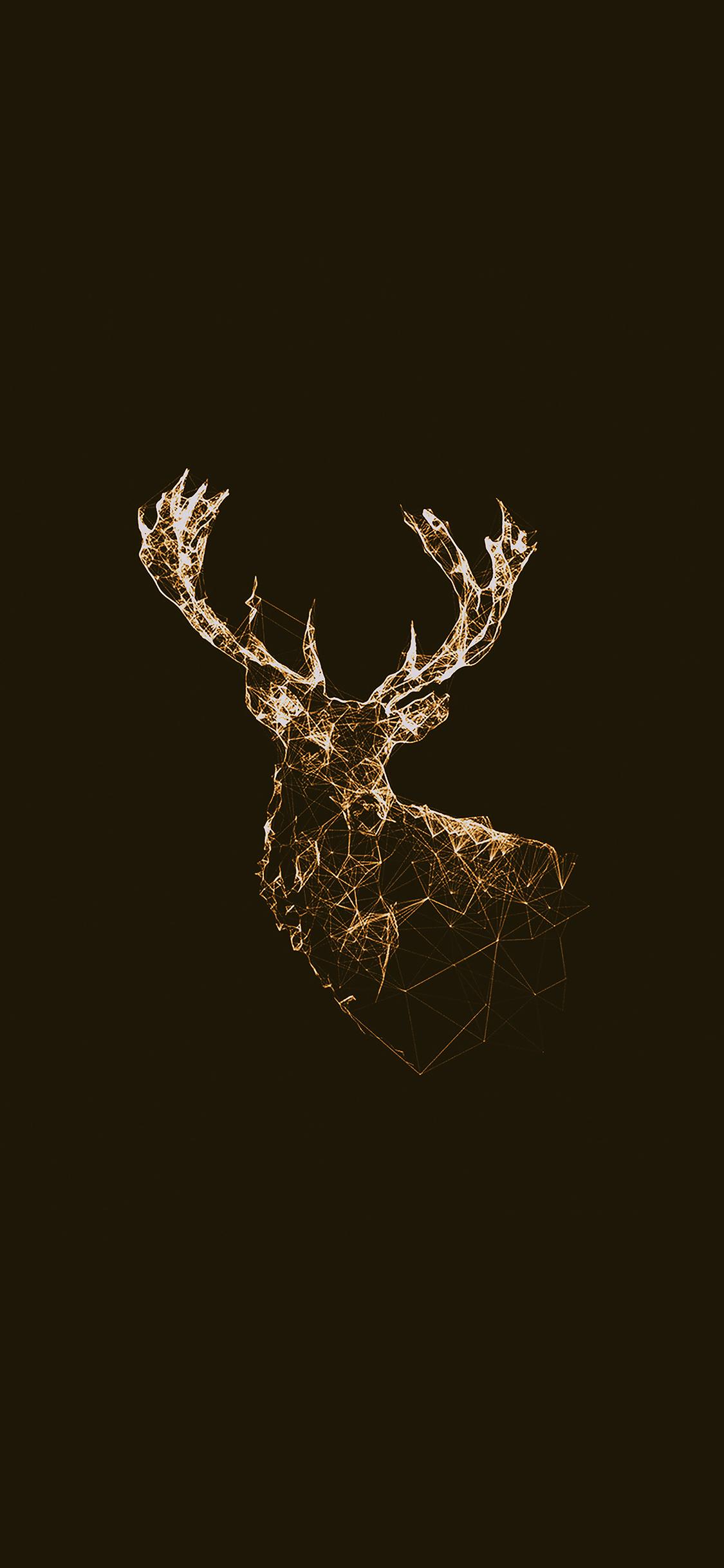 4K Animal iPhone Wallpapers Top Free 4K Animal iPhone Backgrounds — free download