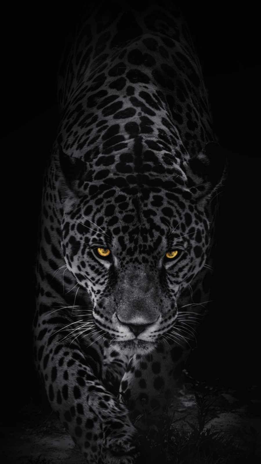 900x1600 Predator Animal IPhone Wallpaper Wallpaper : iPhone Wallpaper. Jaguar animal, Wild animal wallpaper, Leopard wallpaper