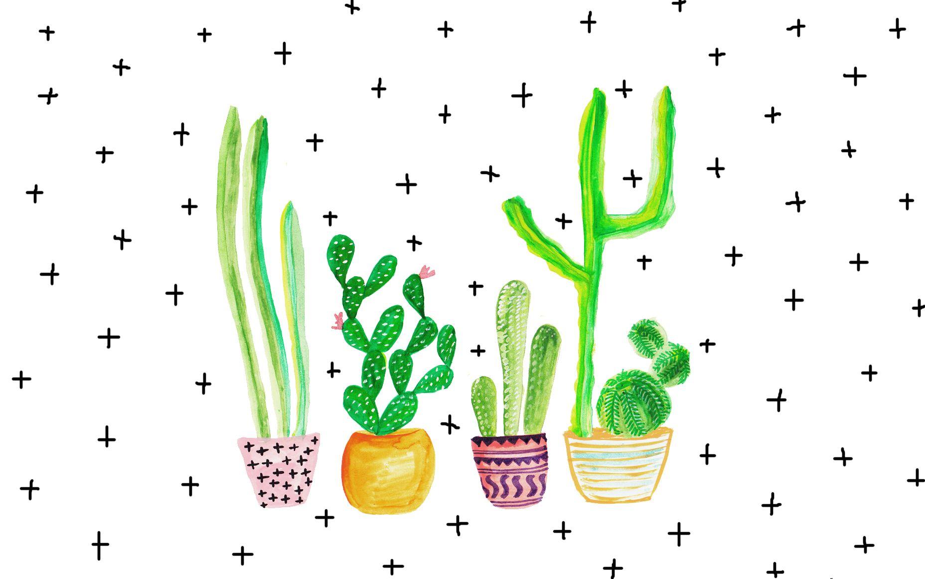 1856x1161 Cactus Tumbler Laptop Wallpaper