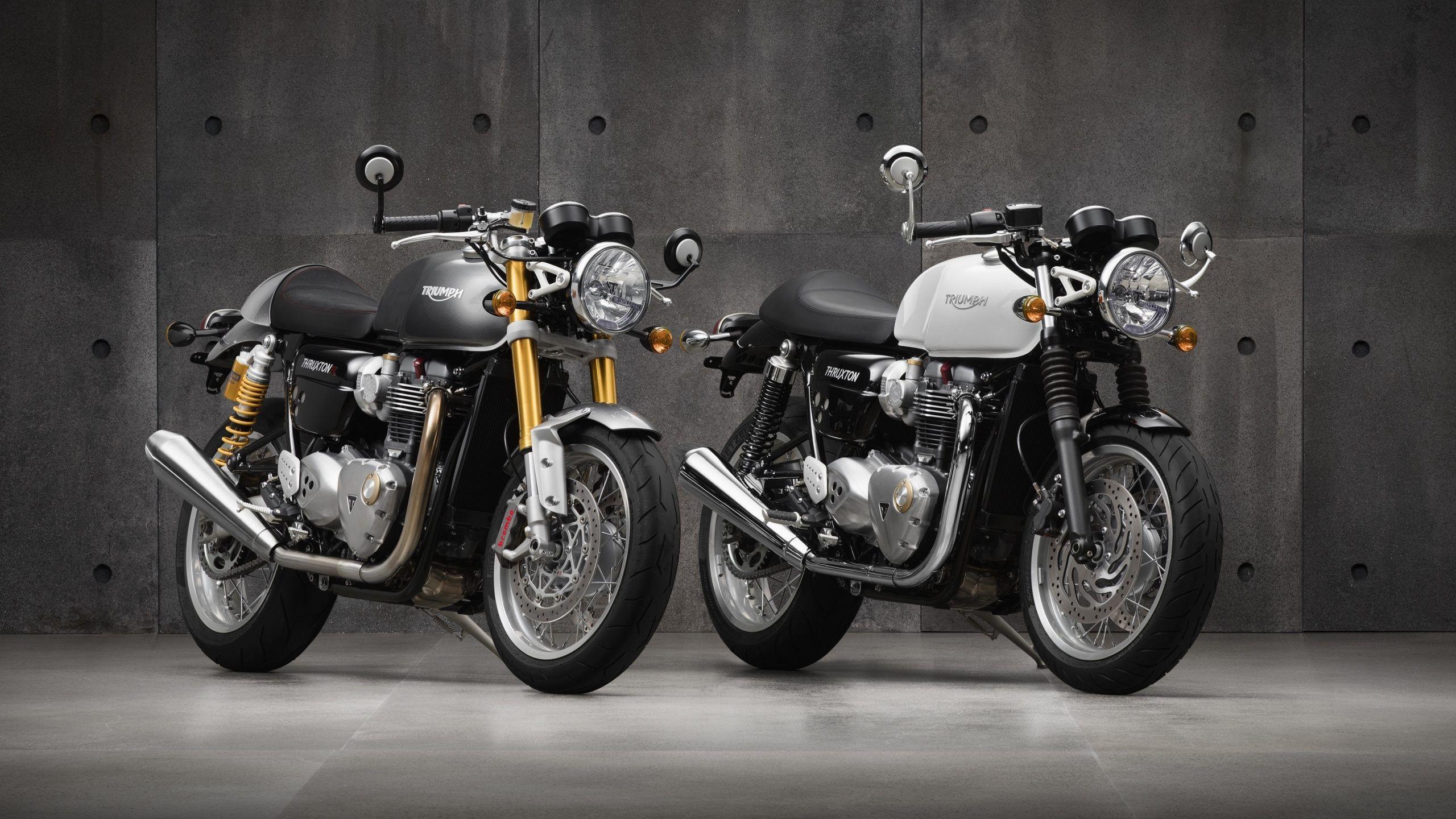2560x1440 Triumph Thruxton Wallpaper