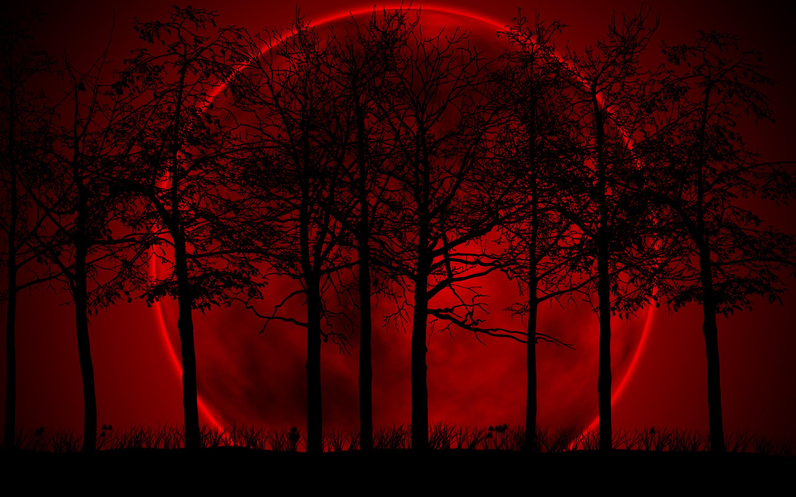2560x1600 Dark Blood Wallpaper