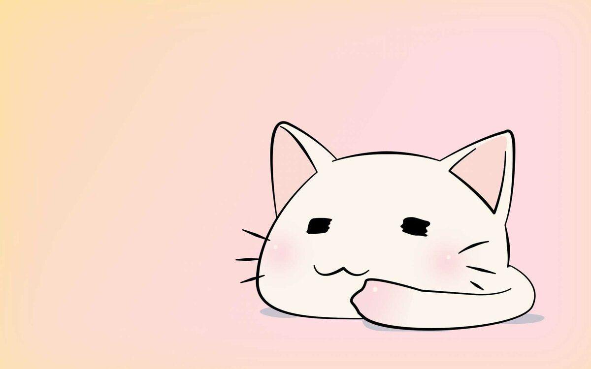 1200x750 Anime Cat Wallpaper HD Check the best collection of HD anime cat background for desktop laptop tablet. HD anime wallpaper, Cute anime cat, Cute anime wallpaper