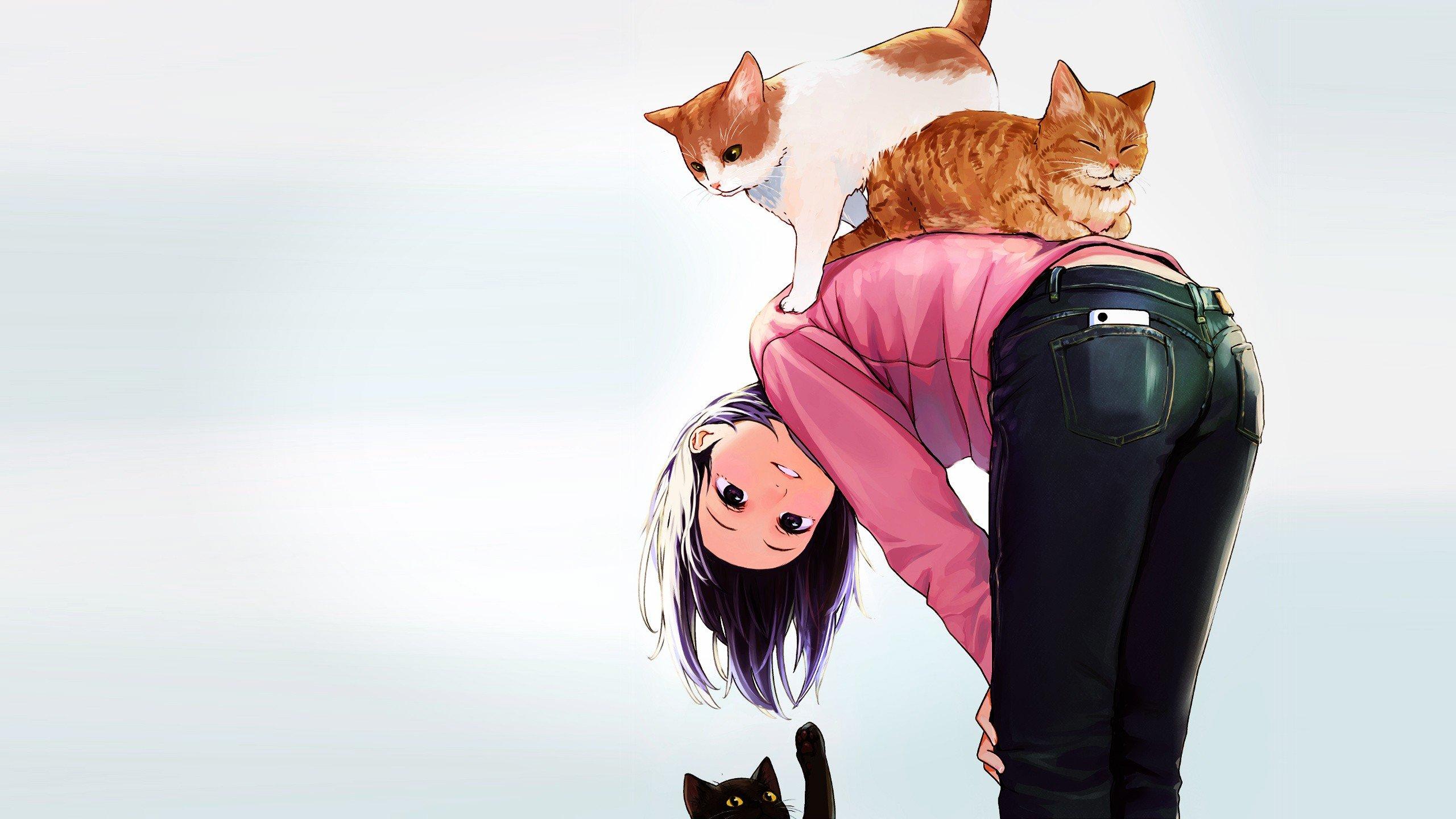 2560x1440 brunette anime girls anime cat 1080P, 2k, 4k HD wallpaper, background free download