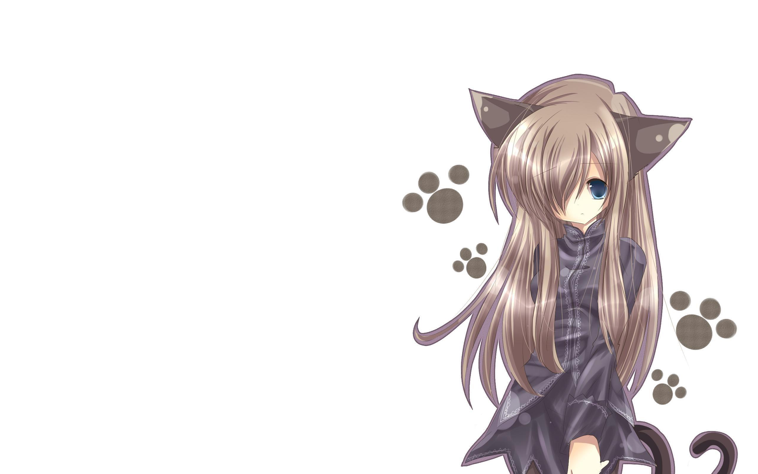 2560x1600 Cat girl, Nekomimi, Art, Anime, Girl Gallery HD Wallpaper