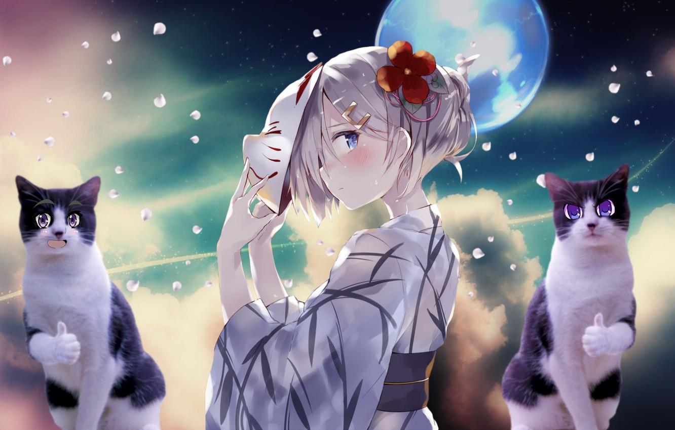 1332x850 Wallpaper girl, moon, sky, blue, anime, cat, purple image for desktop, section разное