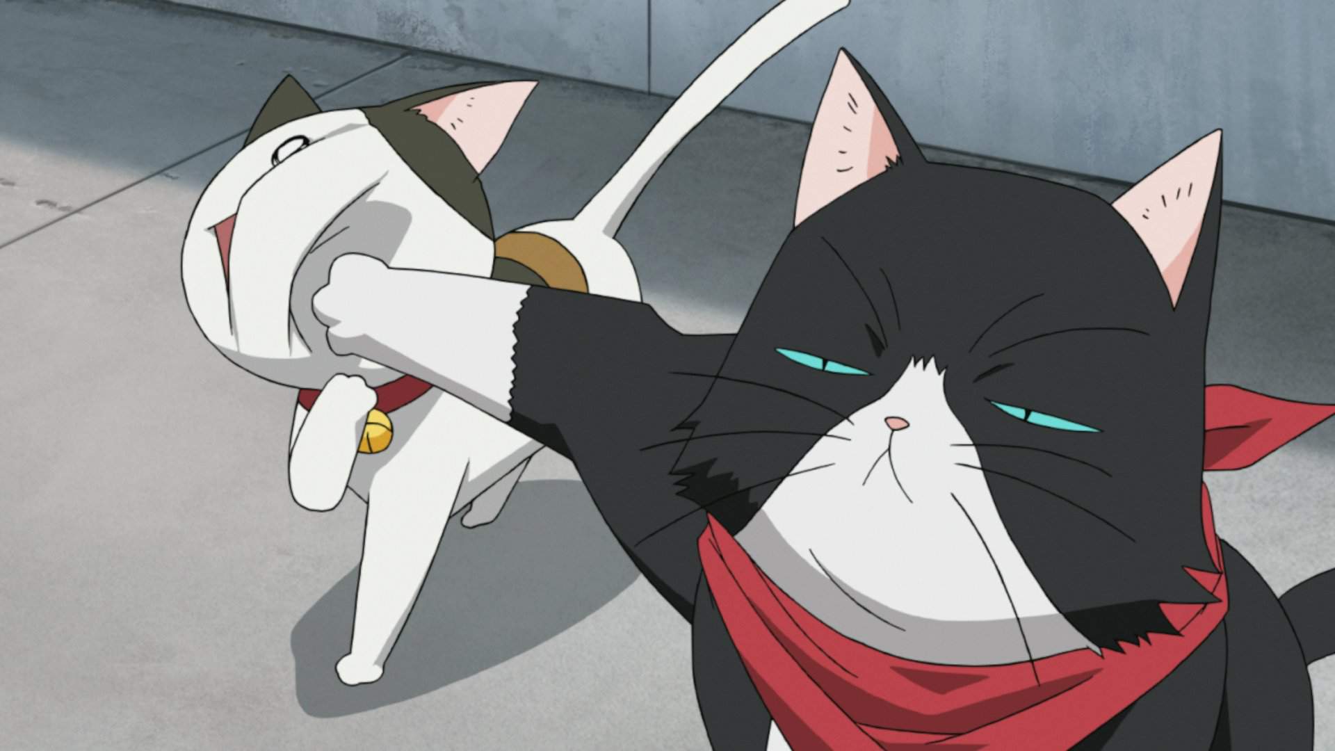 1920x1080 anime cat background