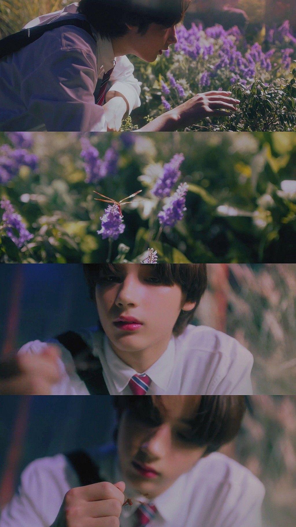 Magic Island Wallpapers - Top Free Magic Island Backgrounds