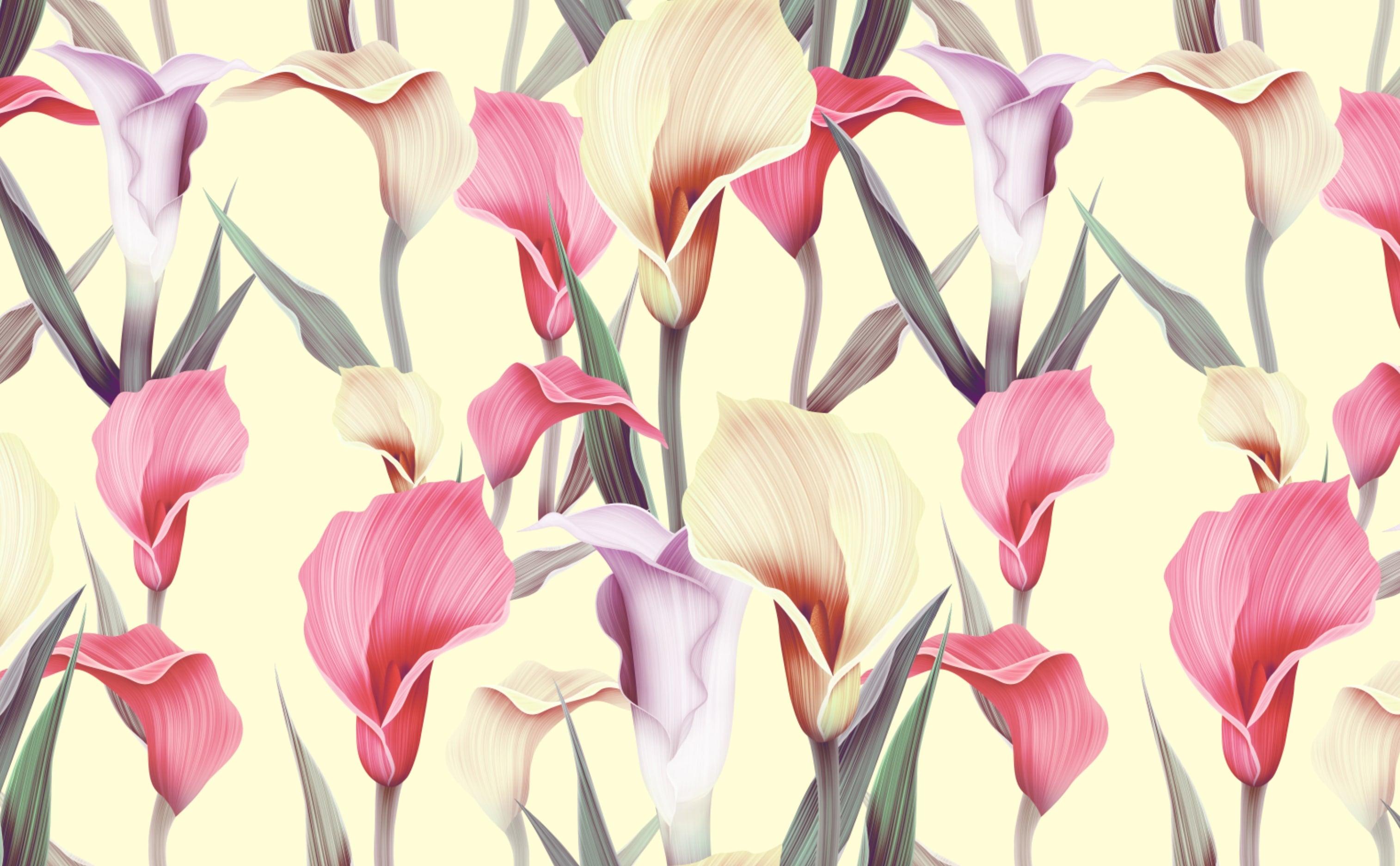 3028x1872 Pastel Calla Lilies Wallpaper for Walls