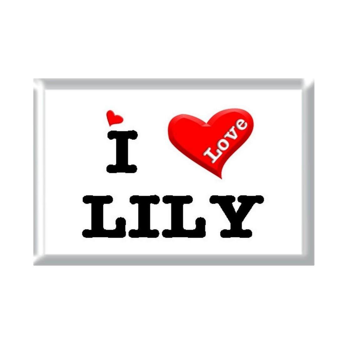 1100x1100 I Love LILY rectangular refrigerator magnet