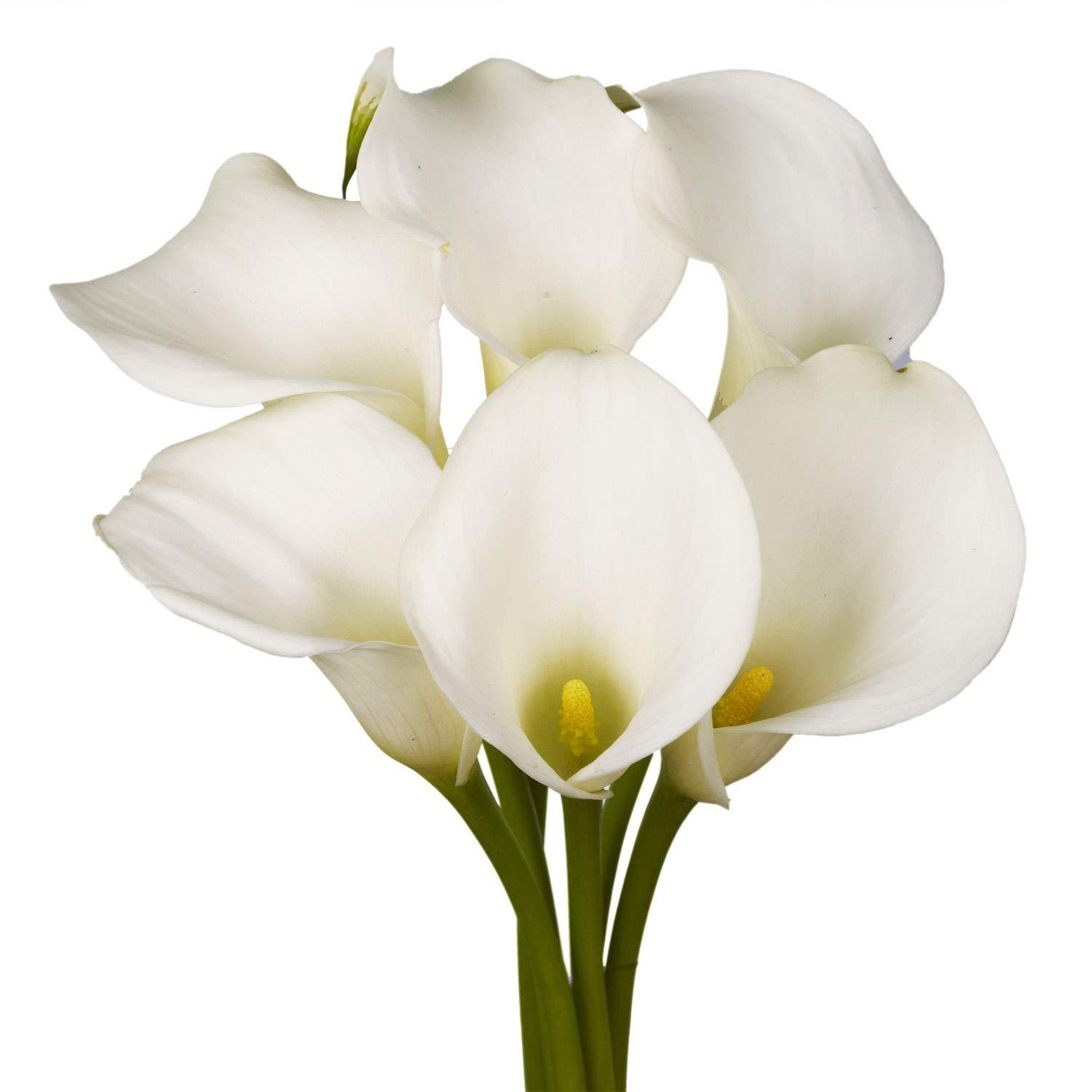 1500x1500 Amazon.com : GlobalRose 18 Fresh Open Cut White Calla Lilies Flowers For Birthdays, Weddings or Anniversary. : Fresh Cut Format Lily Flowers : Grocery & Gourmet Food