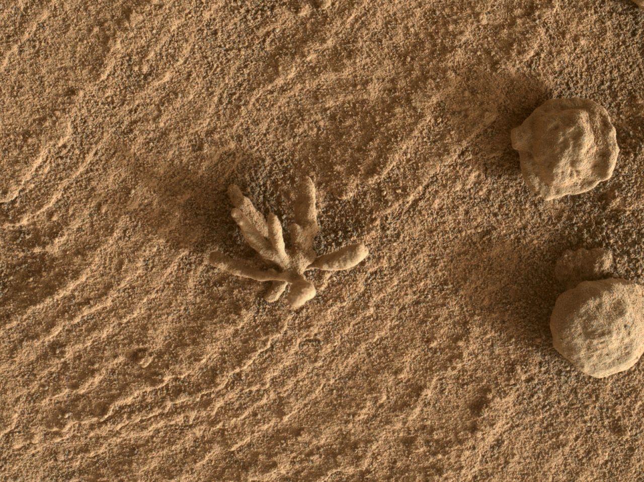 1280x957 Tiny 'flower' formation spotted on Mars