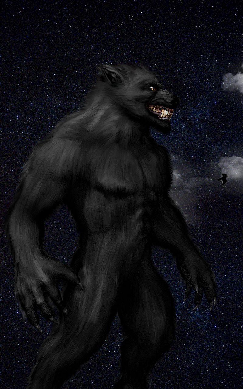 800x1280 Download Wallpaper 800x1280 Werewolf, Monster, Grin, Starry Sky, Full Moon, Night Samsung Galaxy Note Gt N Meizu Mx2 HD Background