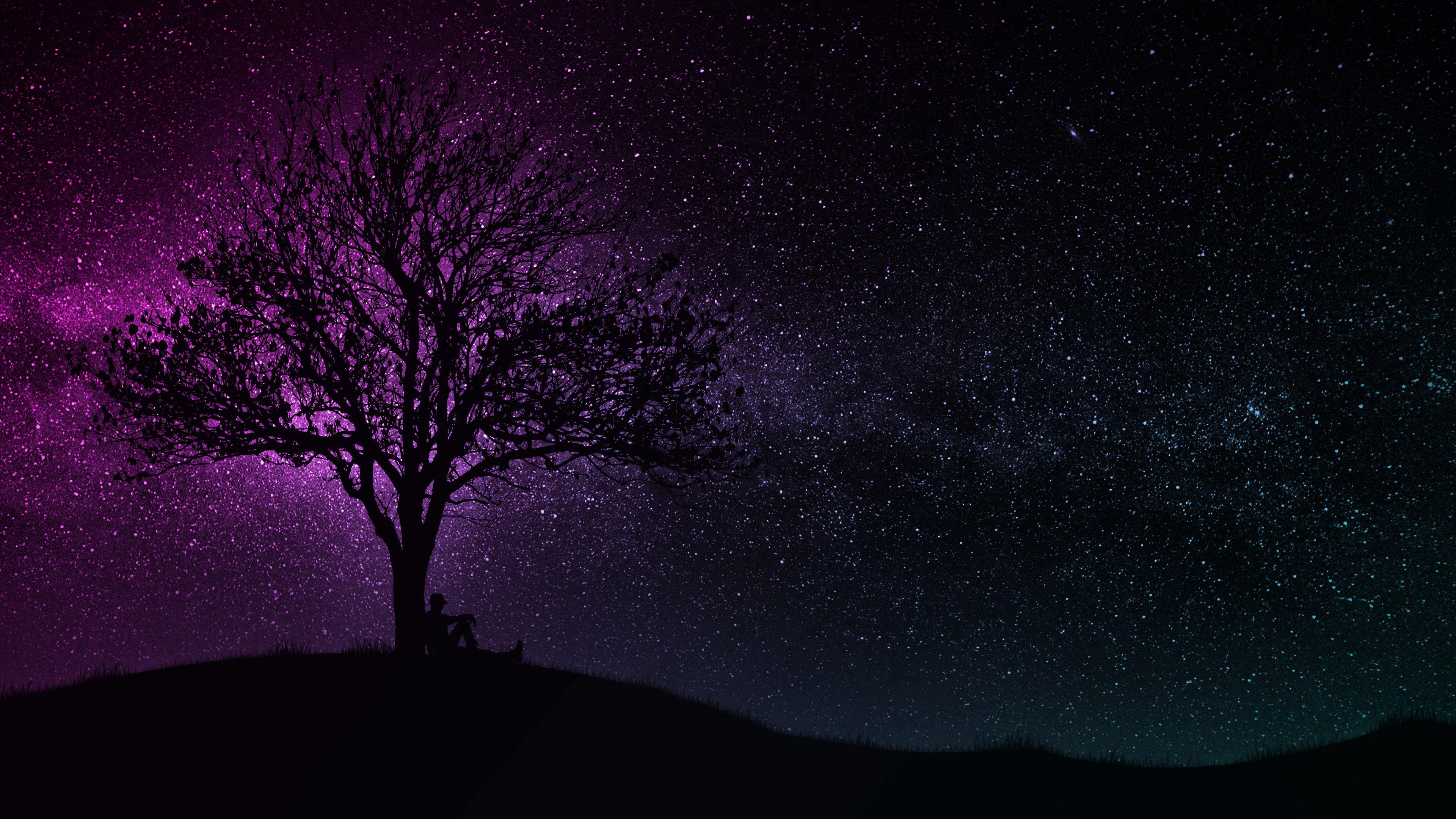 3840x2160 Wallpaper / tree, silhouette, starry sky, dark, art, 4k free download