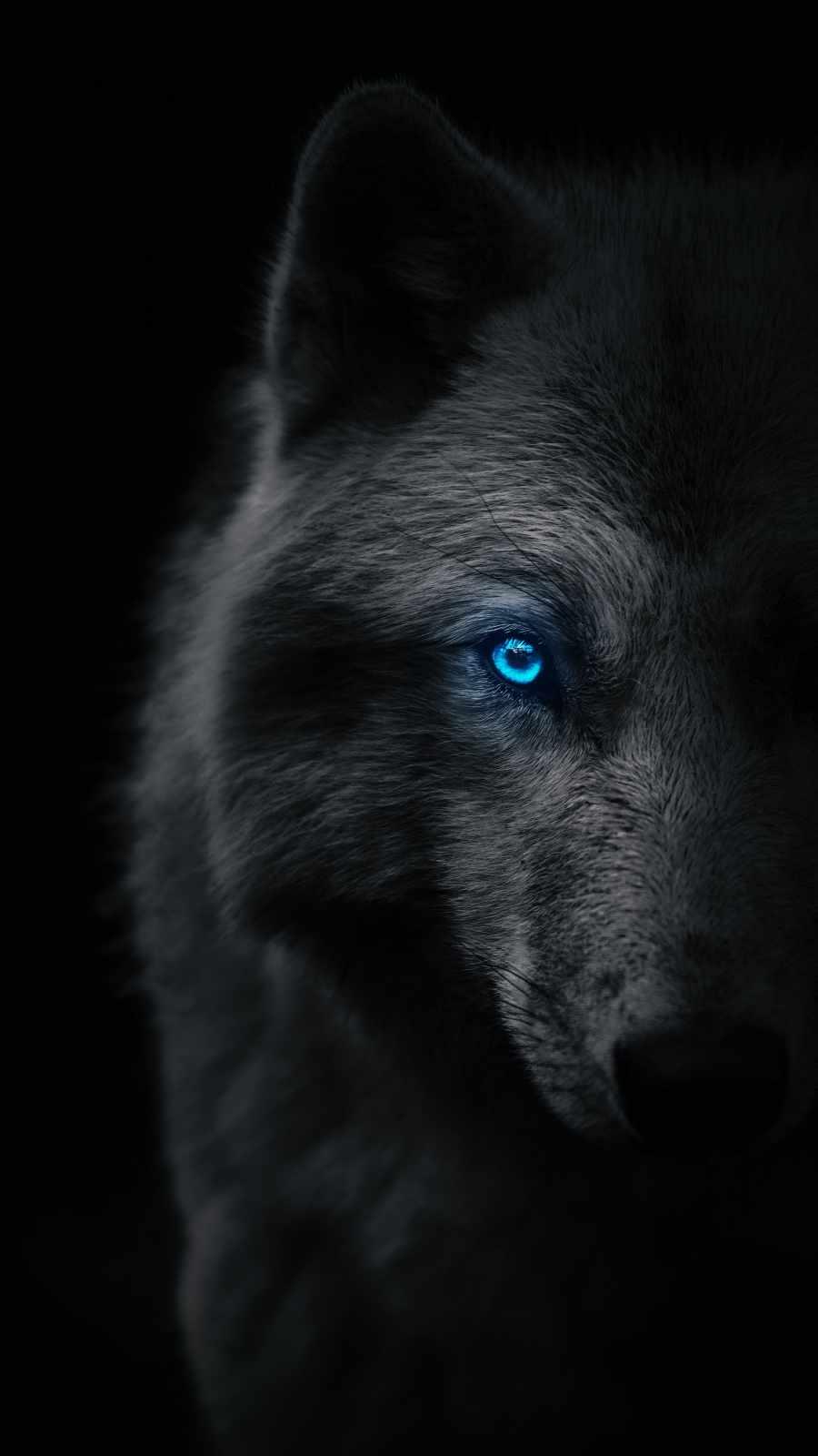 900x1600 Black Wolf IPhone Wallpaper 1 Wallpaper : iPhone Wallpaper