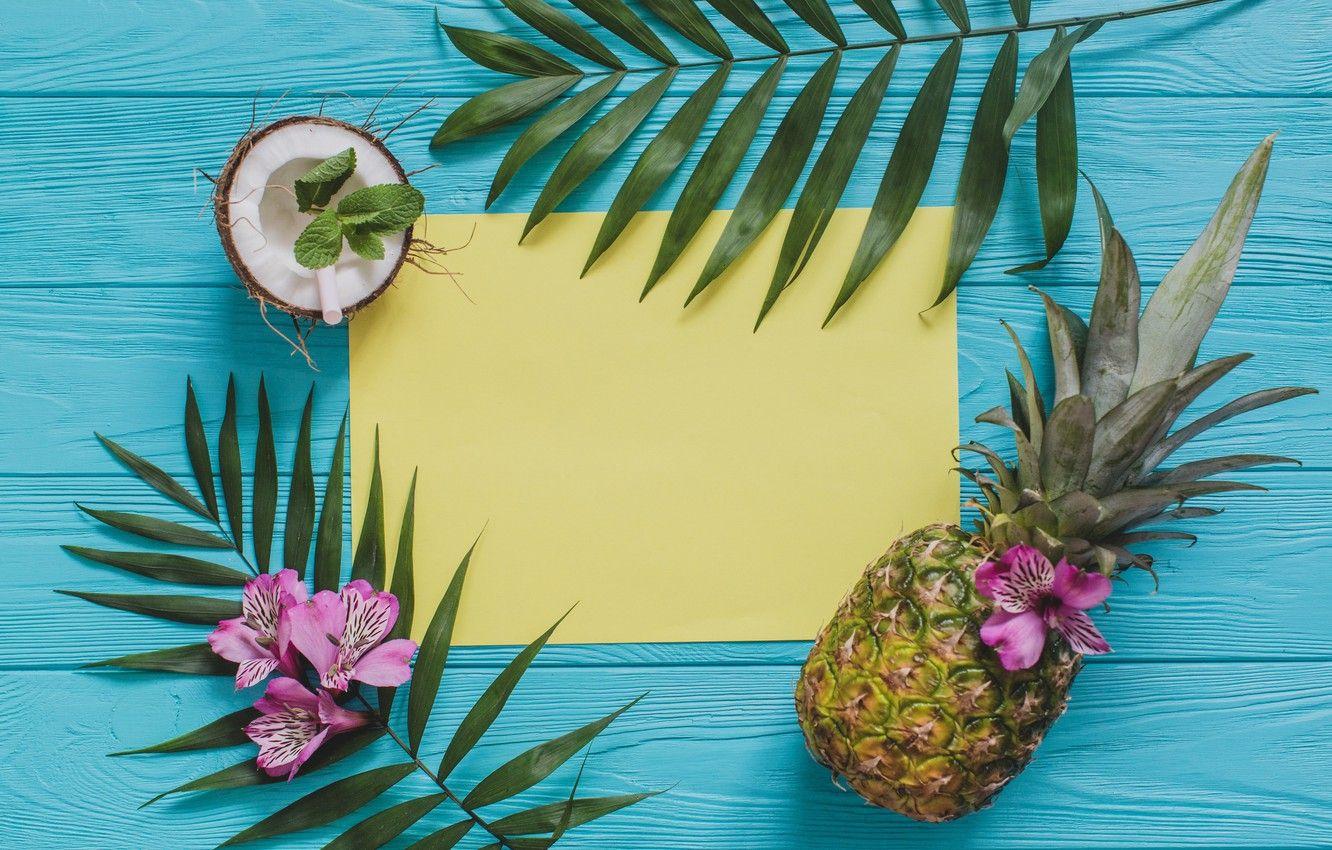 1332x850 Coconut and Pineapple Wallpaper
