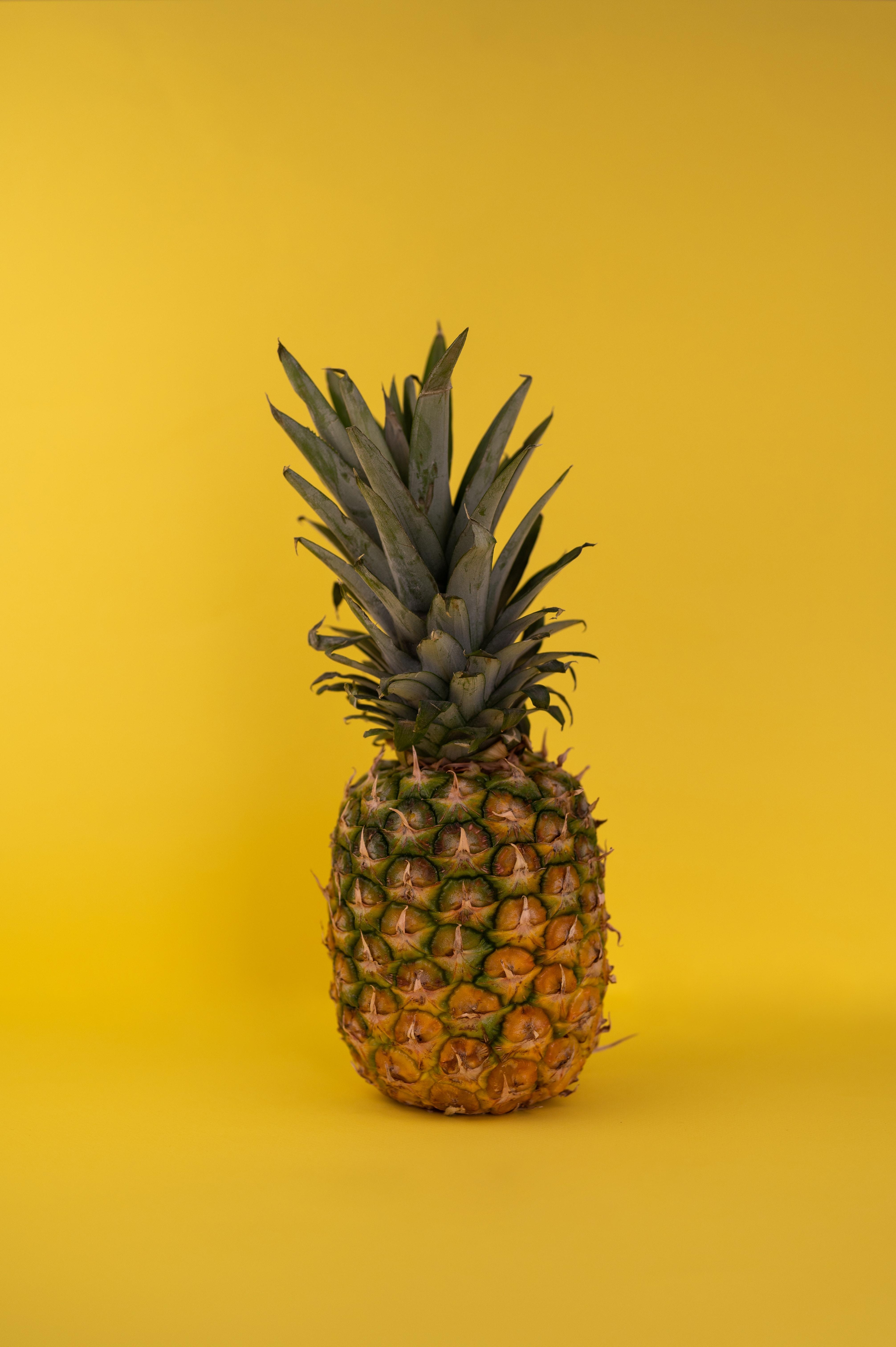 4024x6048 Ripe tropical pineapple in studio · Free