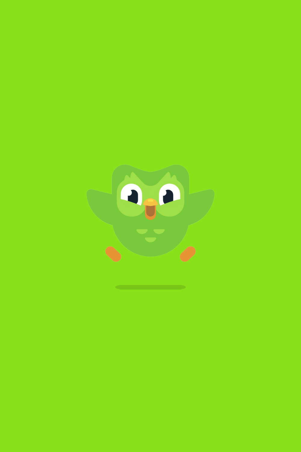 Duolingo Wallpapers - Top Free Duolingo Backgrounds - WallpaperAccess