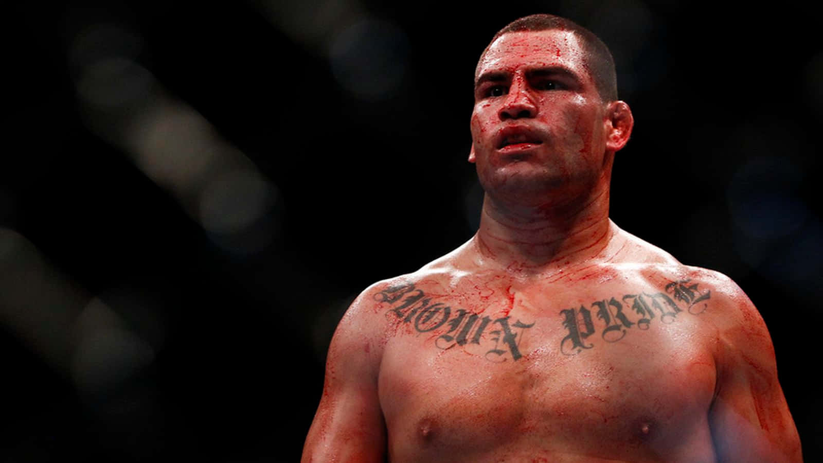 Cain Velasquez Wallpapers - Top Free Cain Velasquez Backgrounds