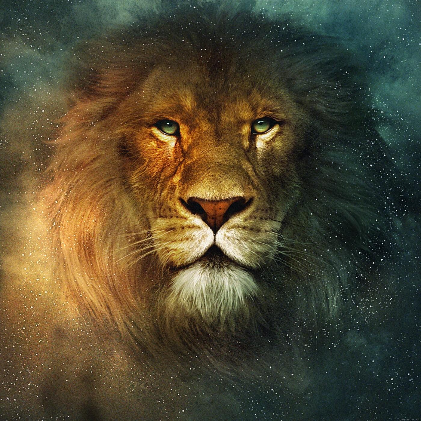 1400x1400 Lion from Narnia free image download