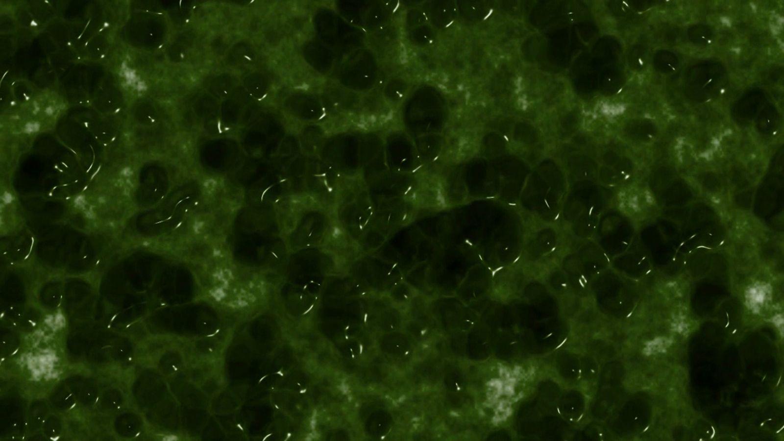 1600x900 Slime Wallpaper