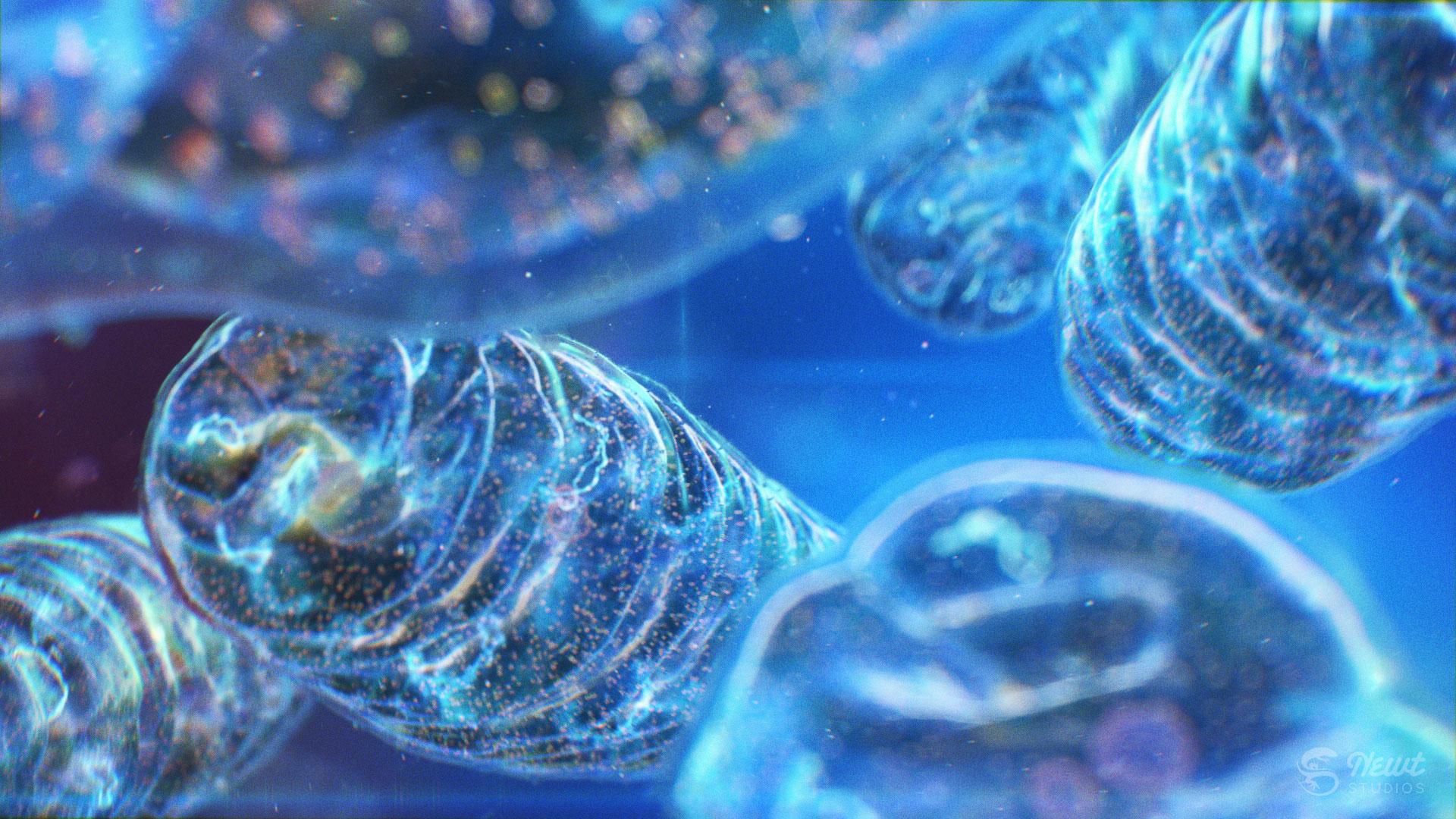 1920x1080 MITOCHONDRIA