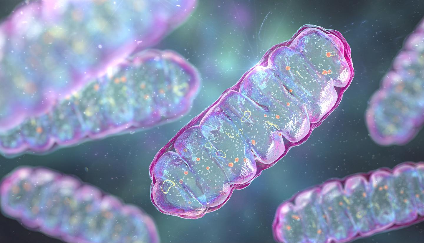 1440x825 Mitochondria GRP PTE LTD