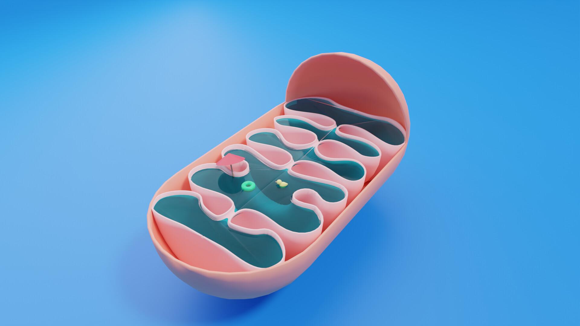 1920x1080 Mitochondria