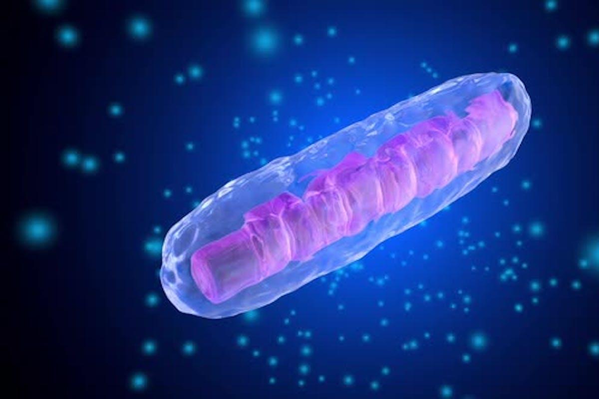 1200x800 3D rendered Animation of a Mitochondria Cell, Stock Video