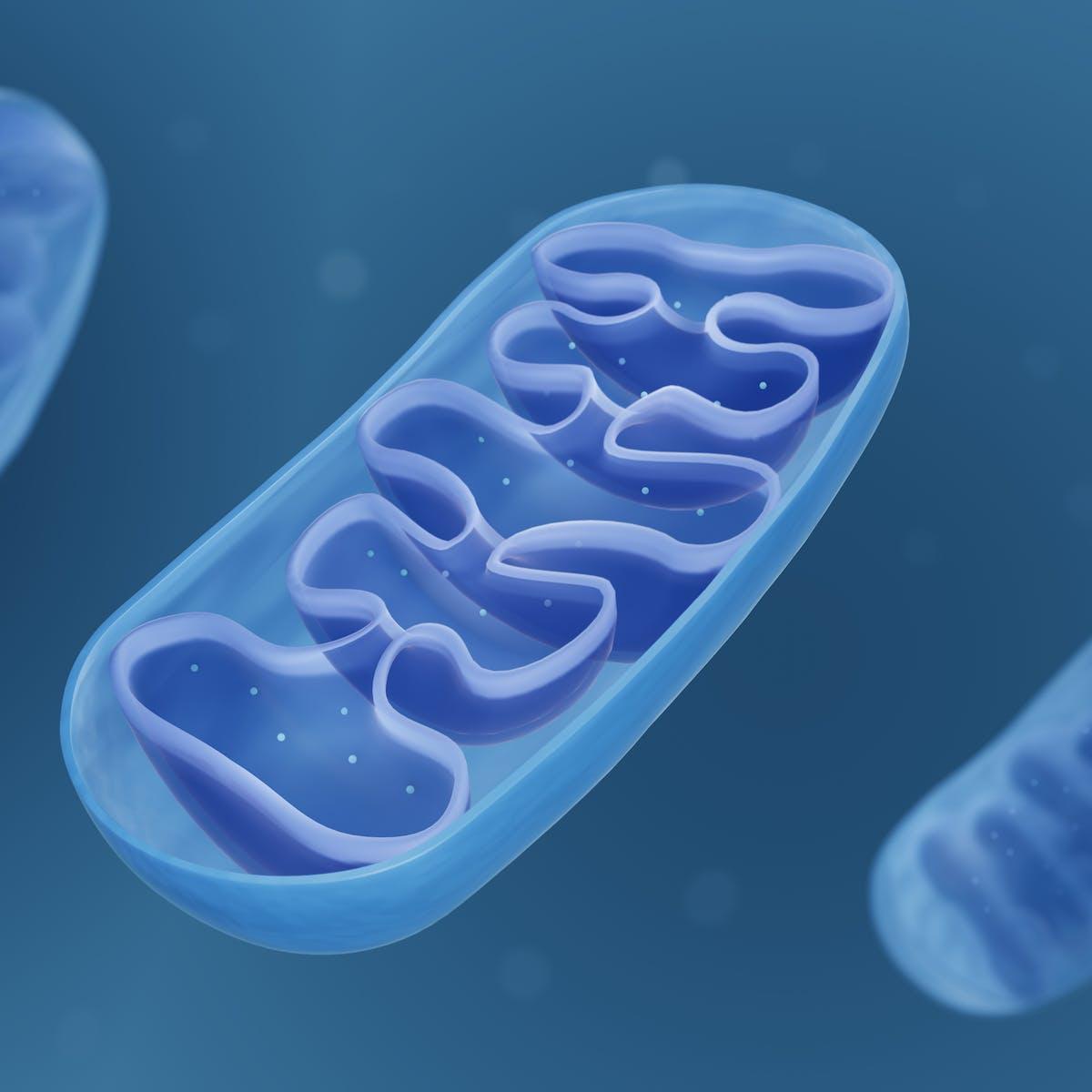 1200x1200 Alzheimer's disease: problems with the brain's energy supply could be a cause