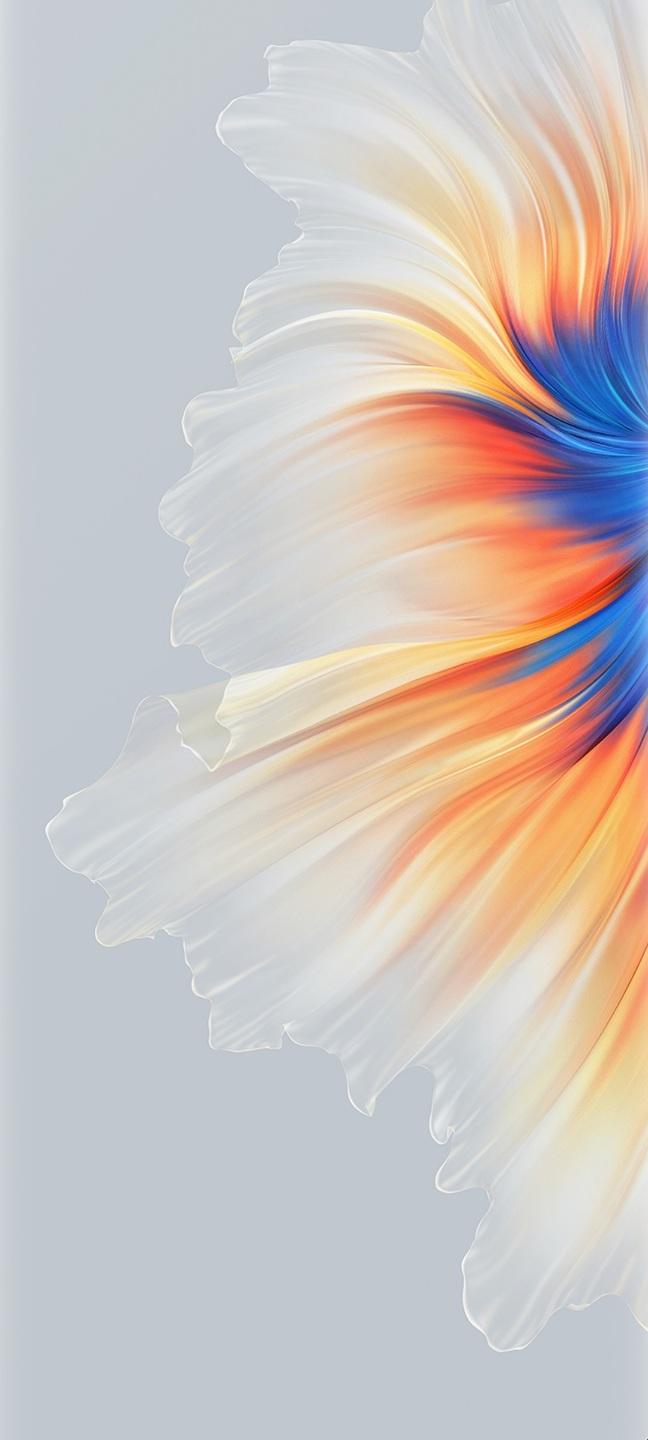 648x1440 Redmi 10 Prime Wallpaper