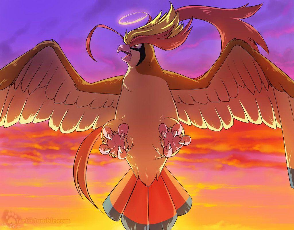 Pidgeot Wallpapers - Top Free Pidgeot Backgrounds - WallpaperAccess