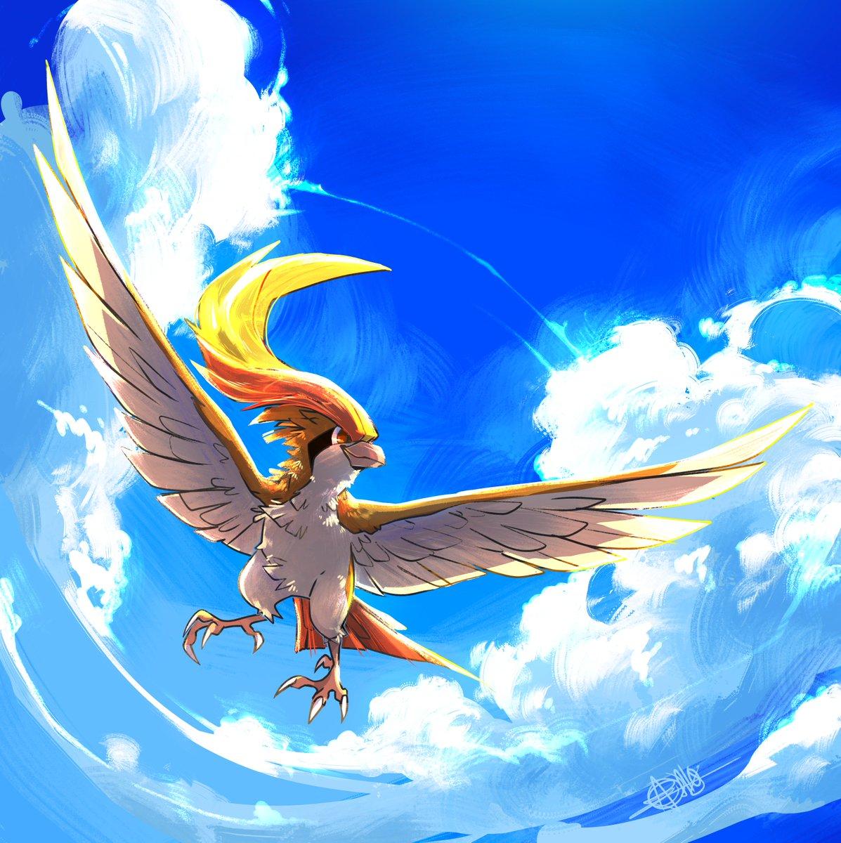 Pidgeot Wallpapers - Top Free Pidgeot Backgrounds - WallpaperAccess