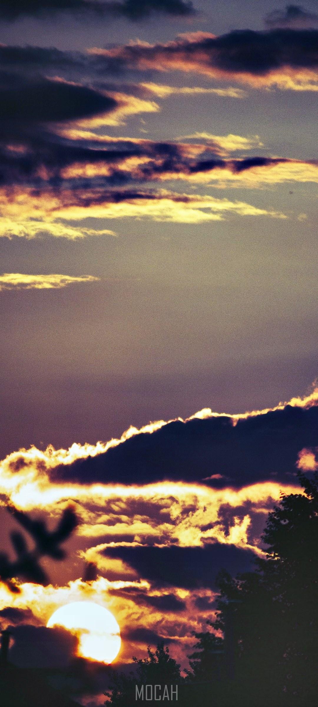 1080x2400 golden hour, Oppo Reno Ace wallpaper download, 1080x2400 Gallery HD Wallpaper