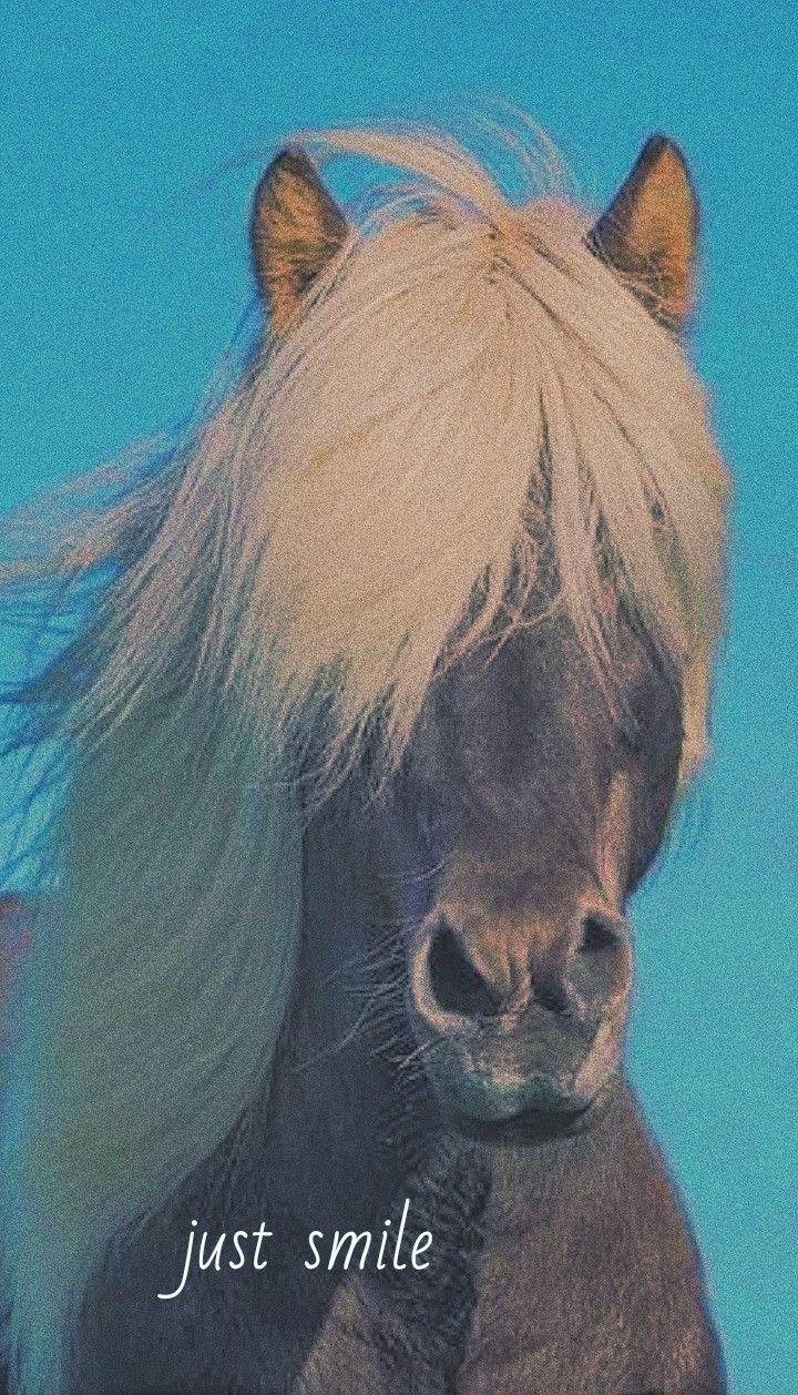 720x1258 horse. Horse wallpaper, Horses, Picture with horses