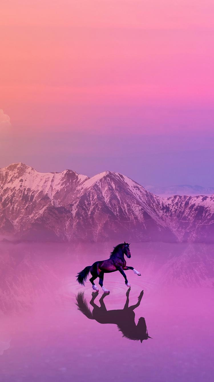 Aesthetic Horse Wallpapers Top Free Aesthetic Horse Backgrounds