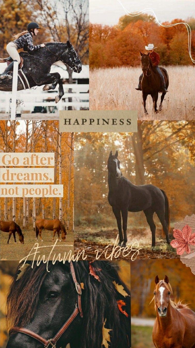 755x1343 Horse autumn background. Cute horse picture, Horse wallpaper, Horses