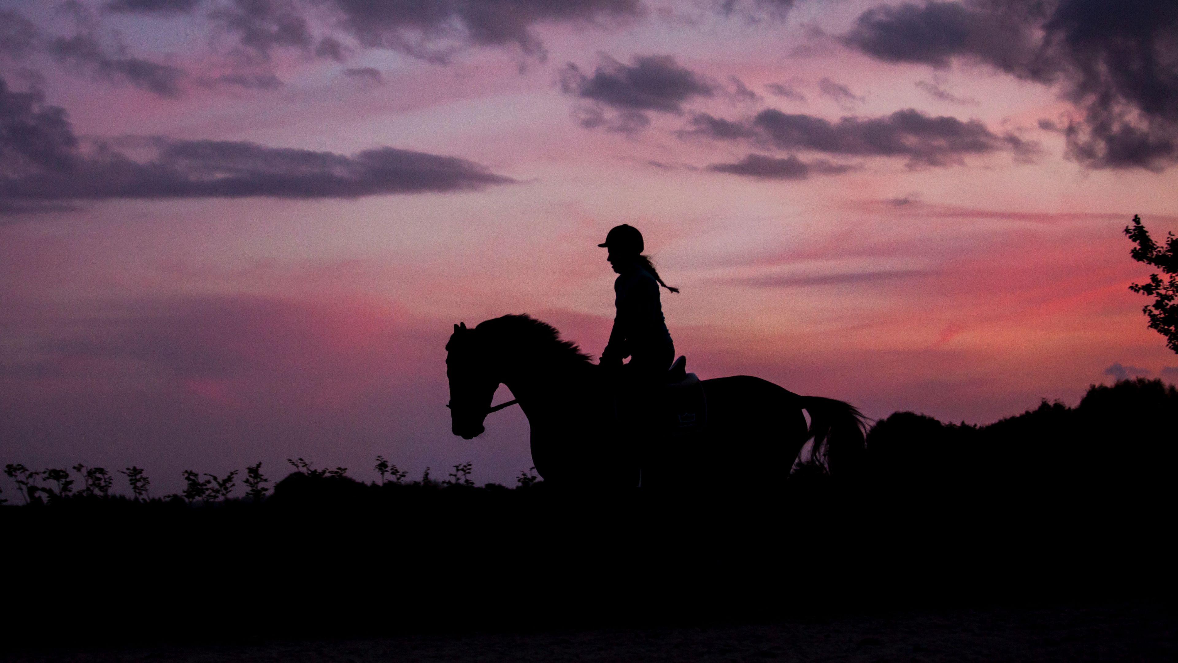 3840x2160 Wallpaper / silhouette, dark, jockey, horse, twilight, equestrian, riding, 4k free download