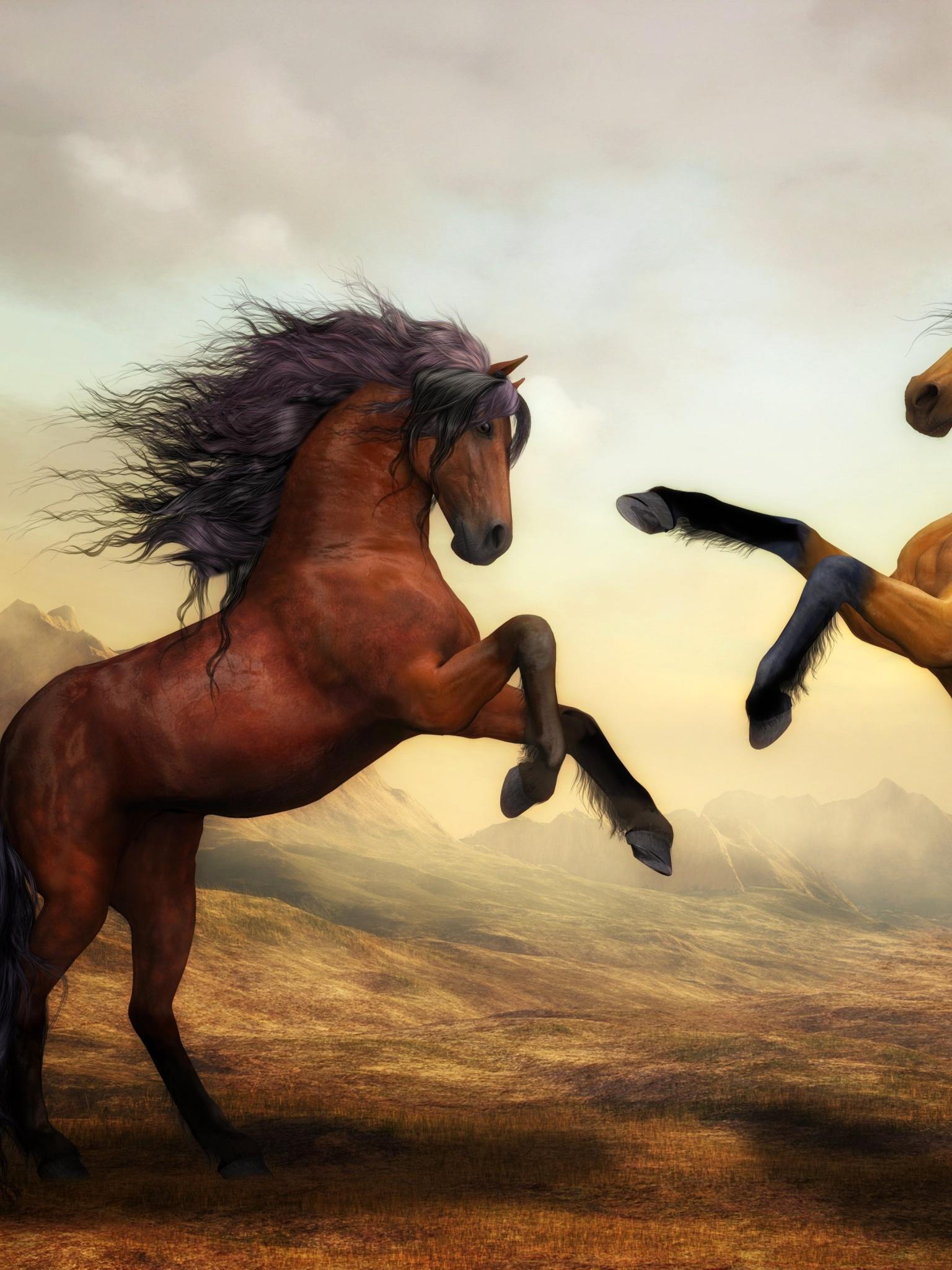 1536x2048 Wild Horses Wallpaper 4K, Pair, Brown Horses, Animals