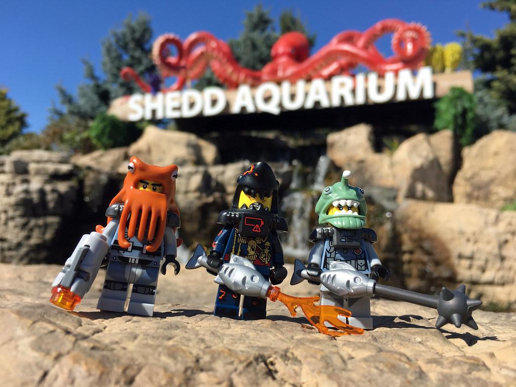 1024x768 LEGO Ninjago Movie Collectible Minifigures : Shark Army