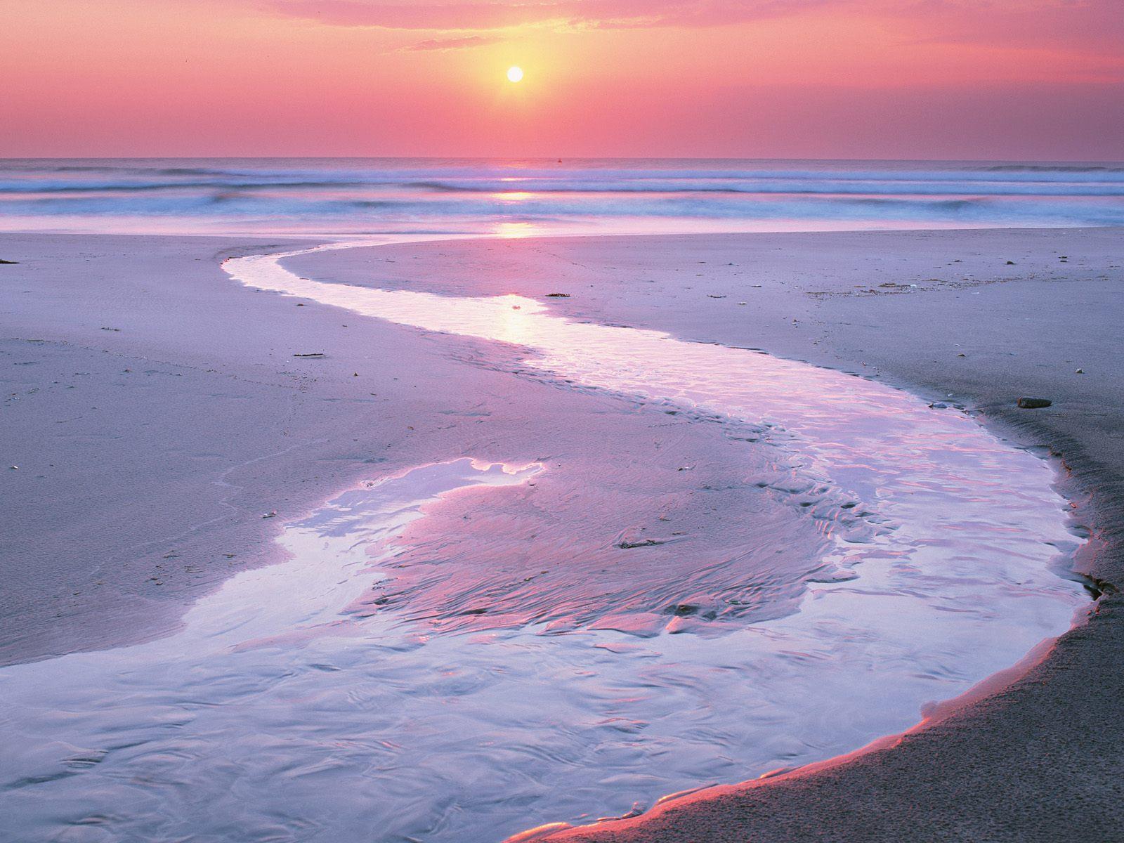 1600x1200 Pink Beach Sunset Wallpaper