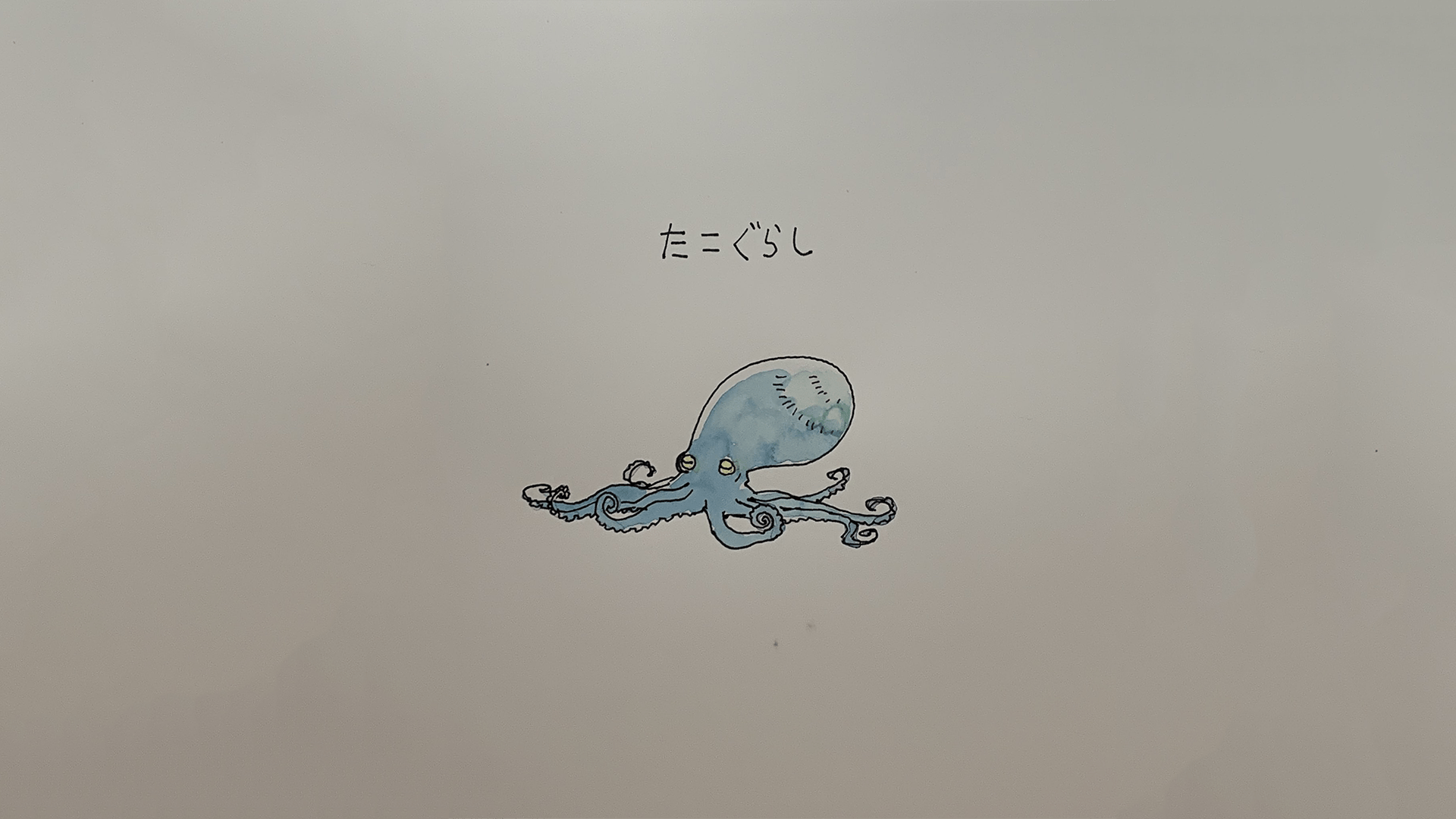 1920x1080 octopus 1080P, 2k, 4k Full HD Wallpaper, Background Free Download