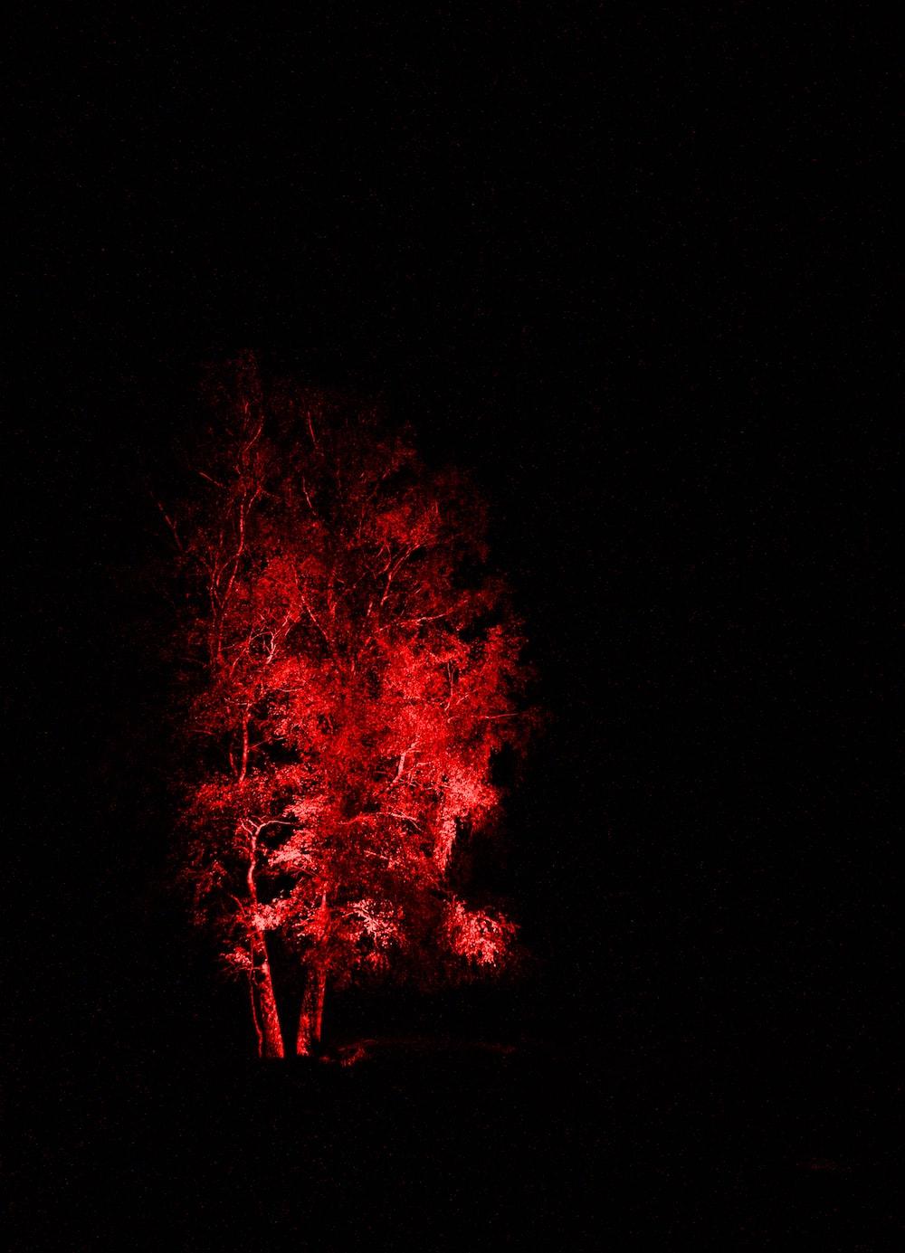 1000x1385 Black And Red Picture. Download Free Image