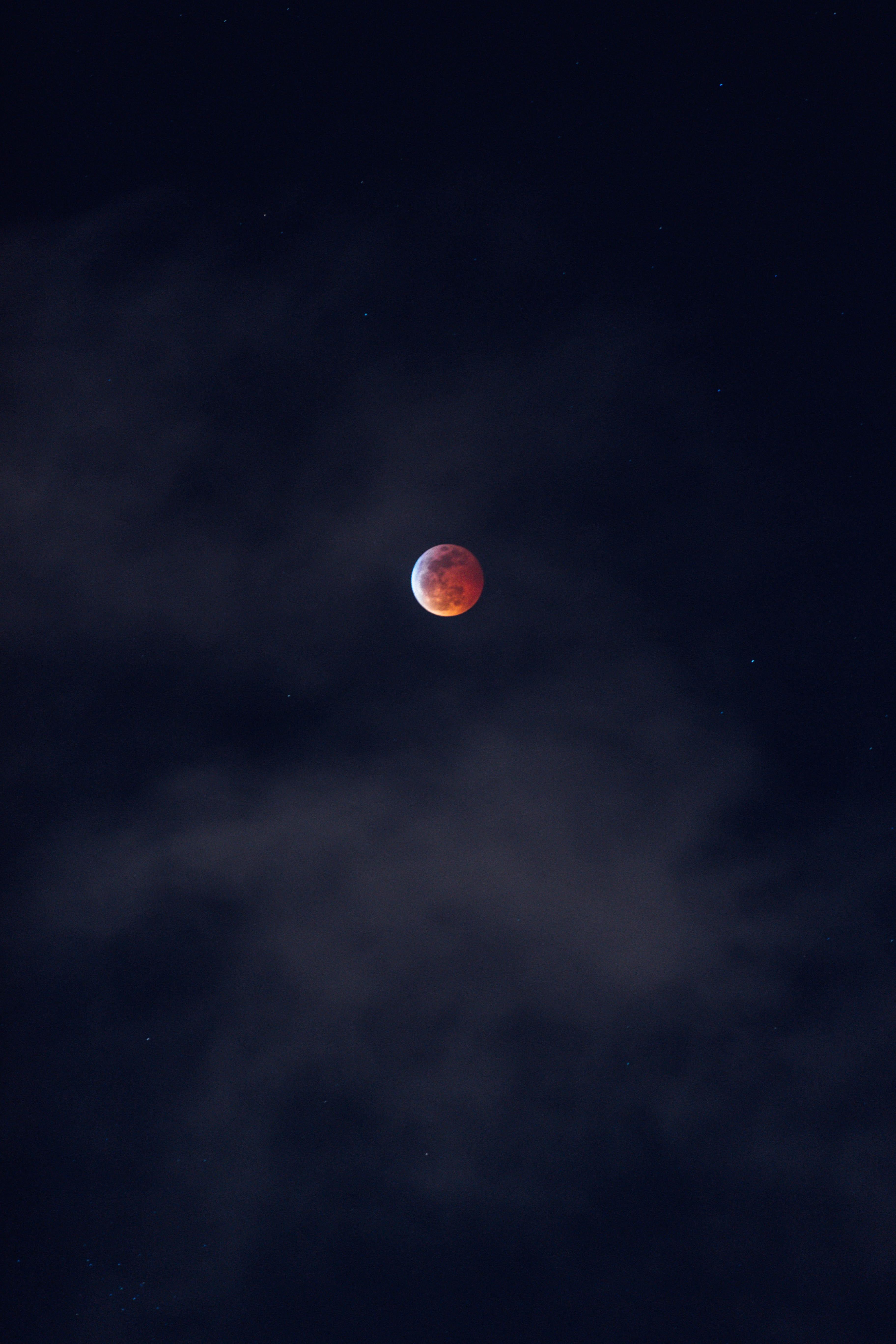 3648x5472 Blood Moon on a Dark Sky · Free