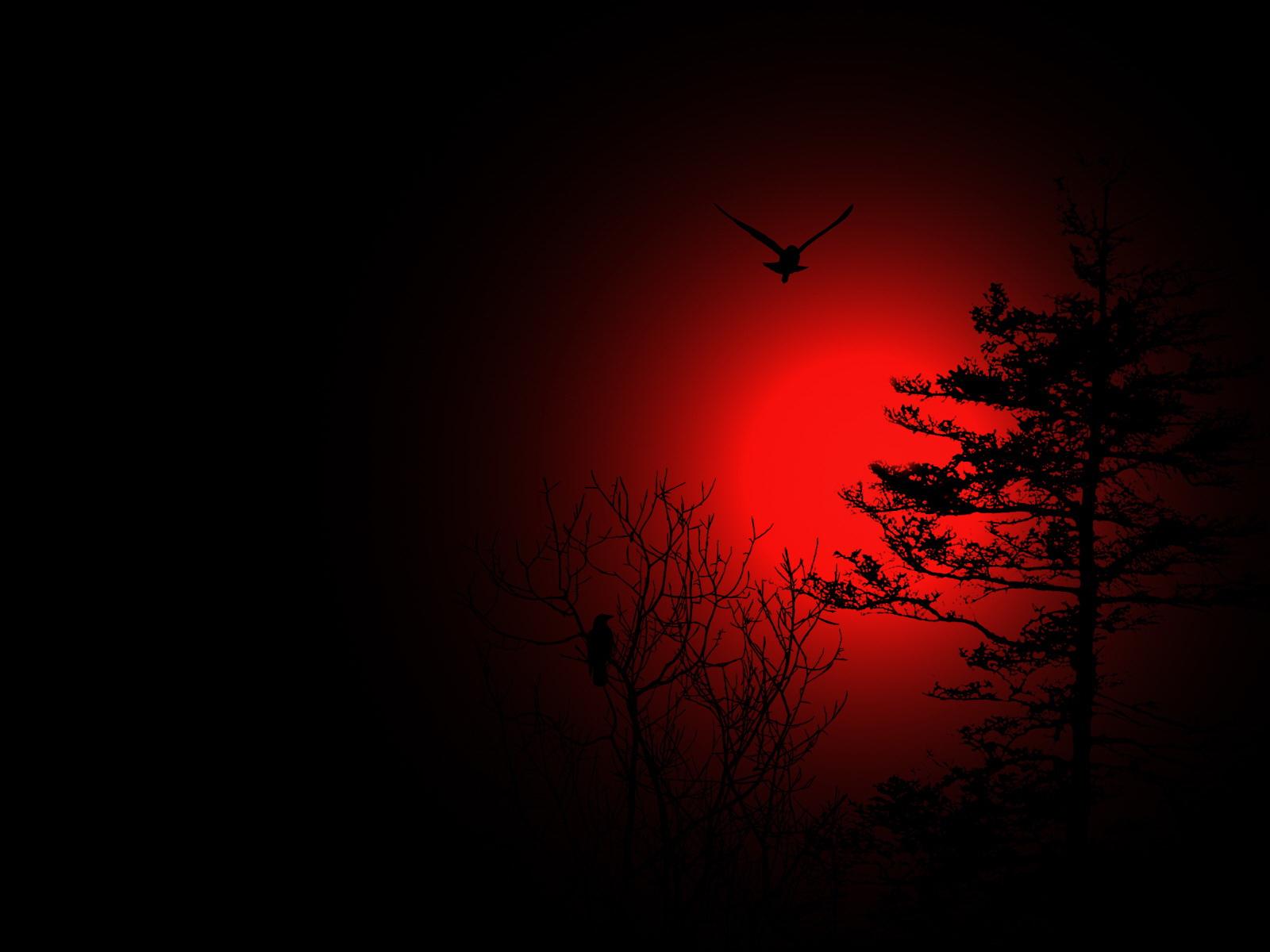 1600x1200 Blood Moon Wallpaper