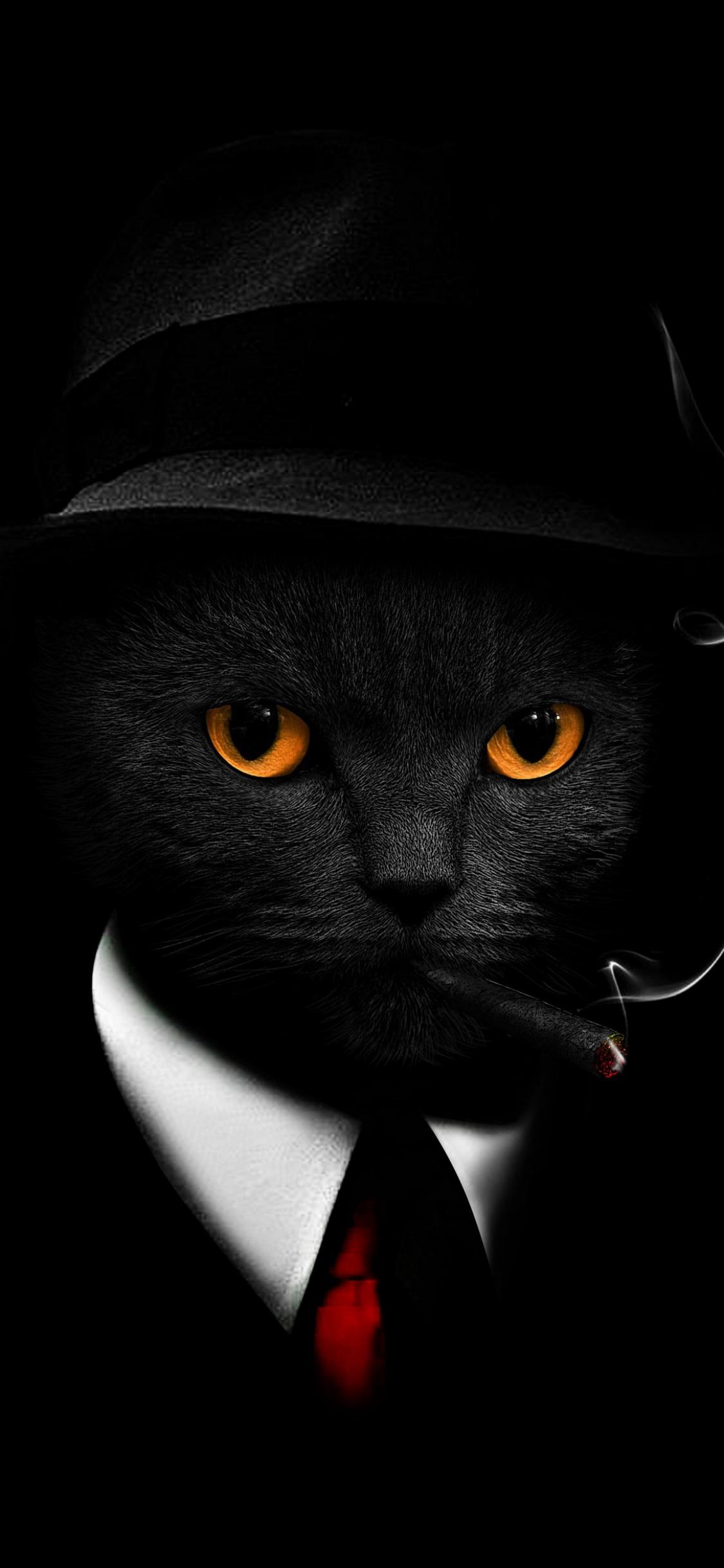 1125x2436 Black Cat Wallpaper 4K, Black background, Hat, Animals