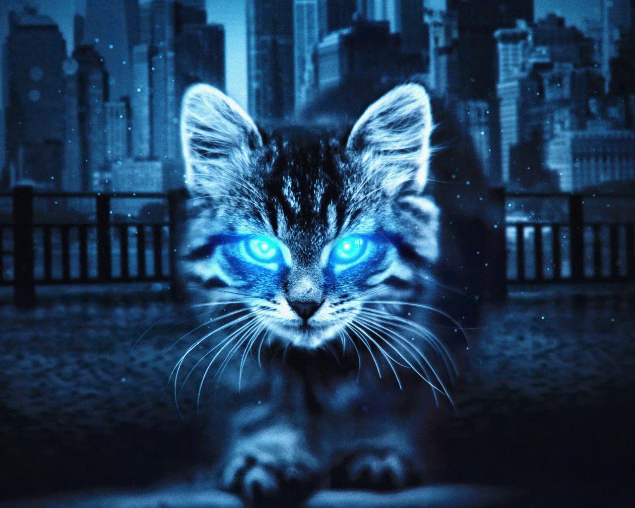 1280x1024 Cat Glowing Eyes 4k 1280x1024 Resolution HD 4k Wallpaper, Image, Background, Photo and Picture