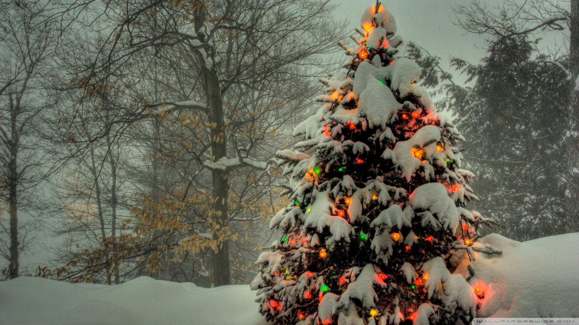 1920x1080 Best HD Christmas Wallpaper for Your Desktop