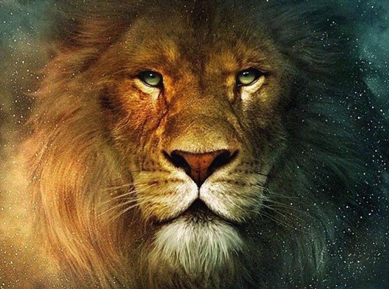 1280x952 5D Diamond Painting Cosmic Lion Kit